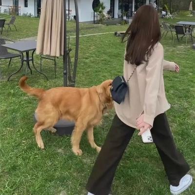 亲爱的恩佐
