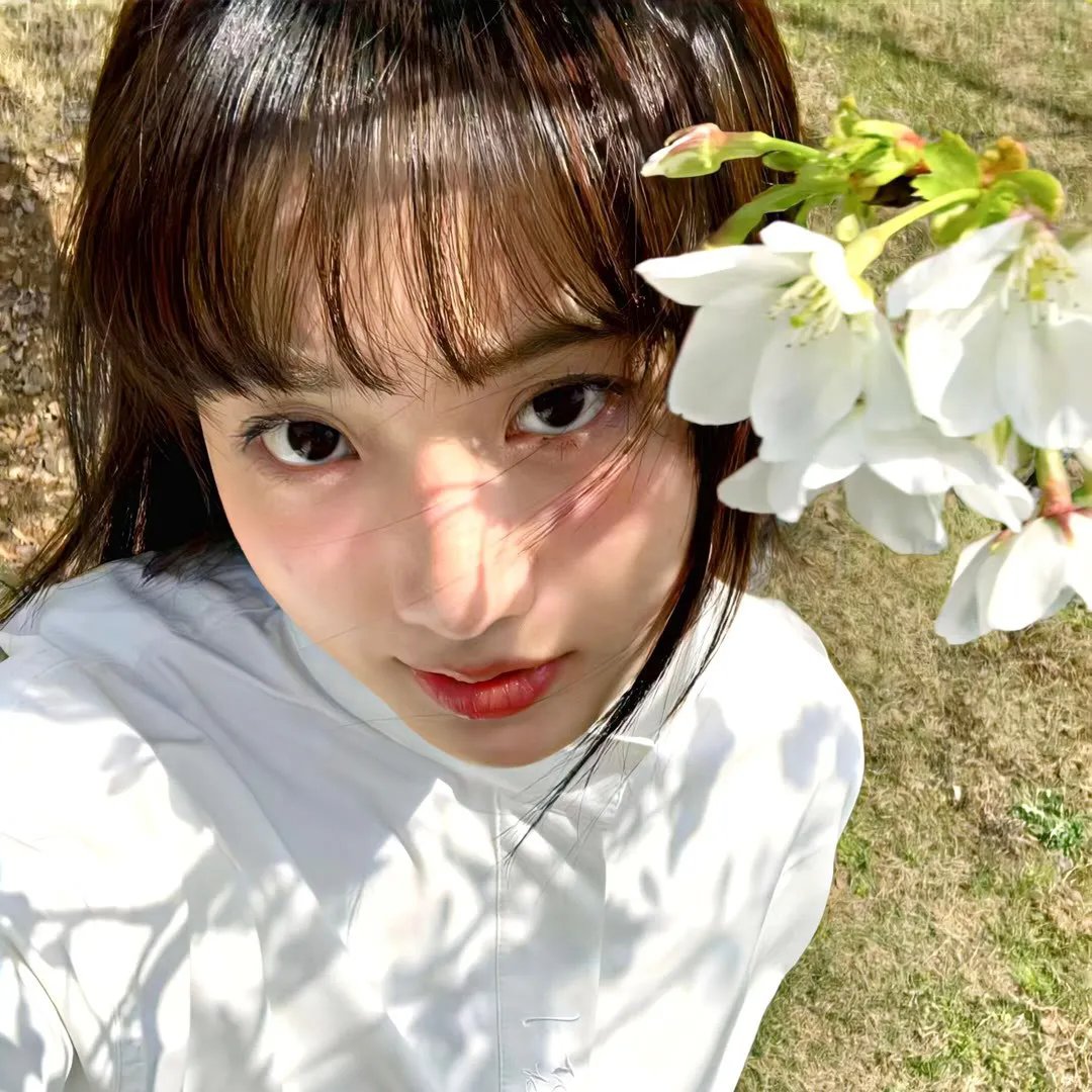 爱情与鸽子